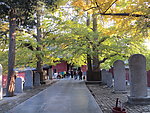 少林寺金秋