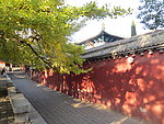 少林寺秋景