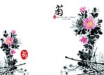 菊 菊花封面