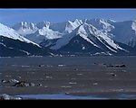实拍雪山视频素材