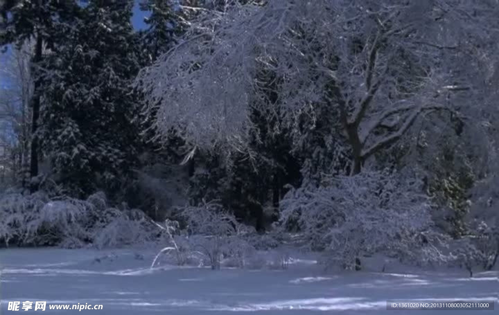 实拍冬雪视频素材