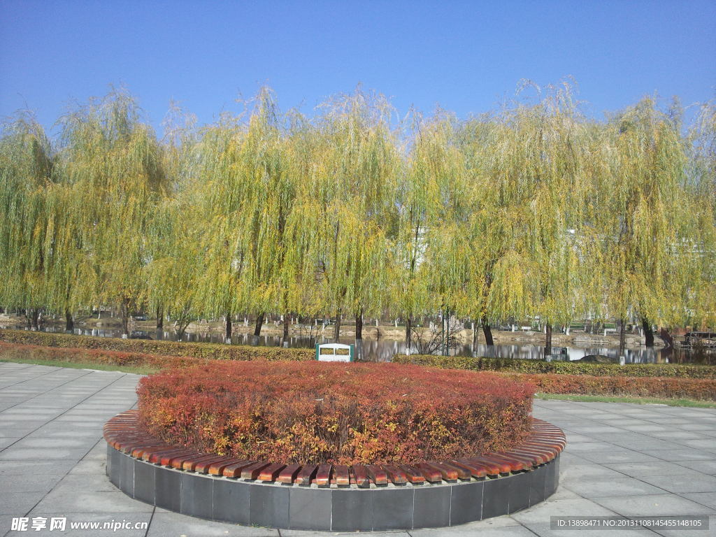 秋天景色