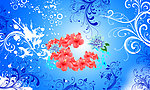 高档花纹