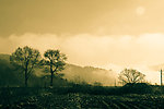 风景黄昏
