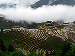阳春三月