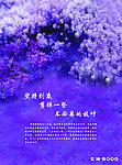 生活商情