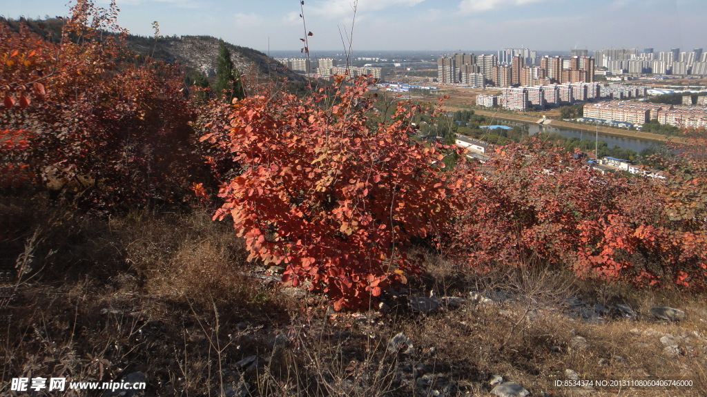 山城