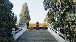 小红果