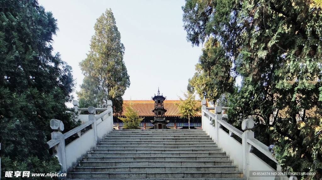 小红果