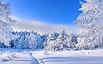 雪景