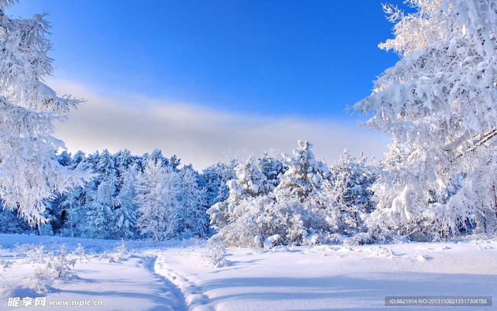 雪景