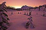 雪景