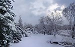 雪景