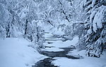 雪景