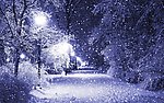 雪景