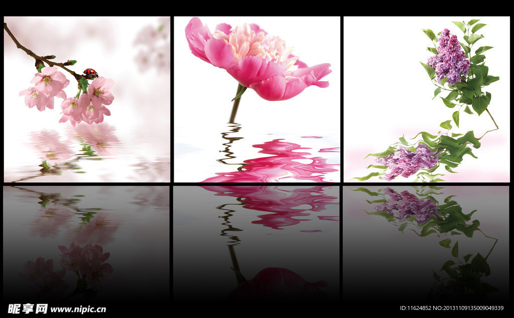 花朵倒影三联画