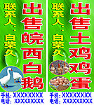 出售白鹅站牌