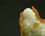 玉器视频素材
