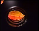 水中落叶视频素材