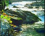 小溪流水视频素材