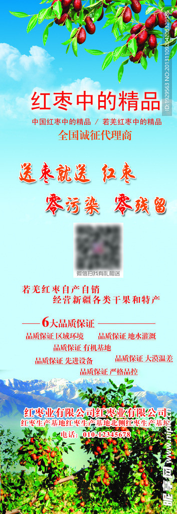 红枣X展架