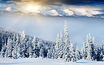 雪景