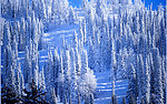 雪景