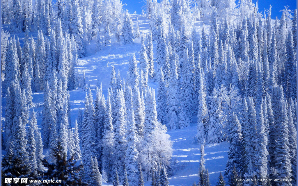 雪景