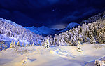 雪景