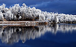 雪景