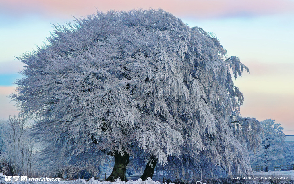 雪景
