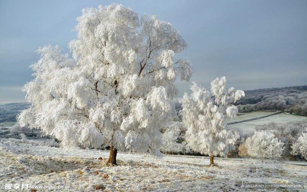 雪景