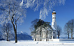 雪景