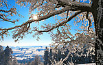 雪景