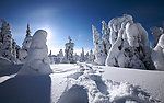 雪景