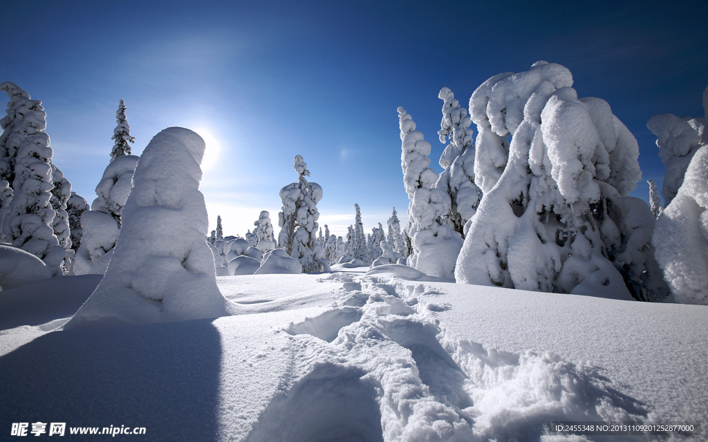 雪景