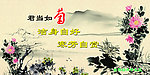 梅兰竹菊 菊花