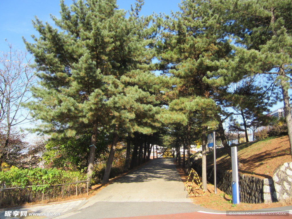 道路