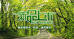 新品上市