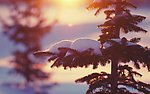 雪景