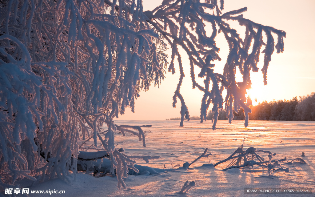 雪景