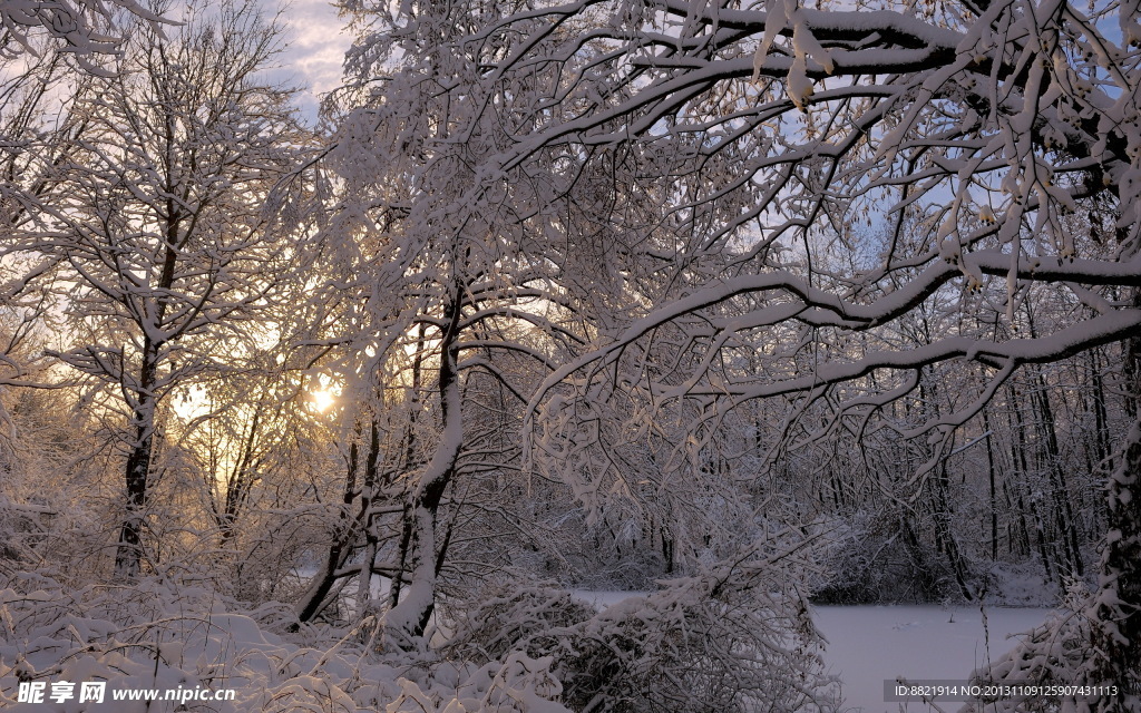 雪景