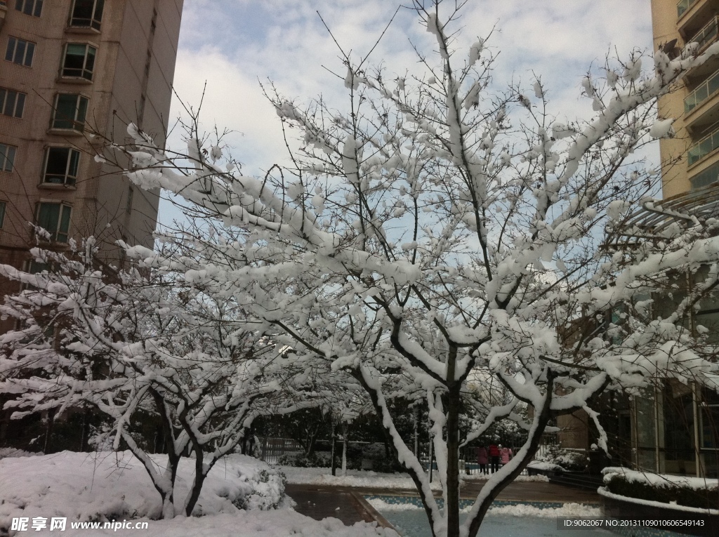 小区的春雪