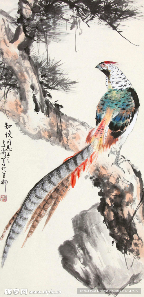 松荫锦鸡