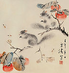 松鼠柿子