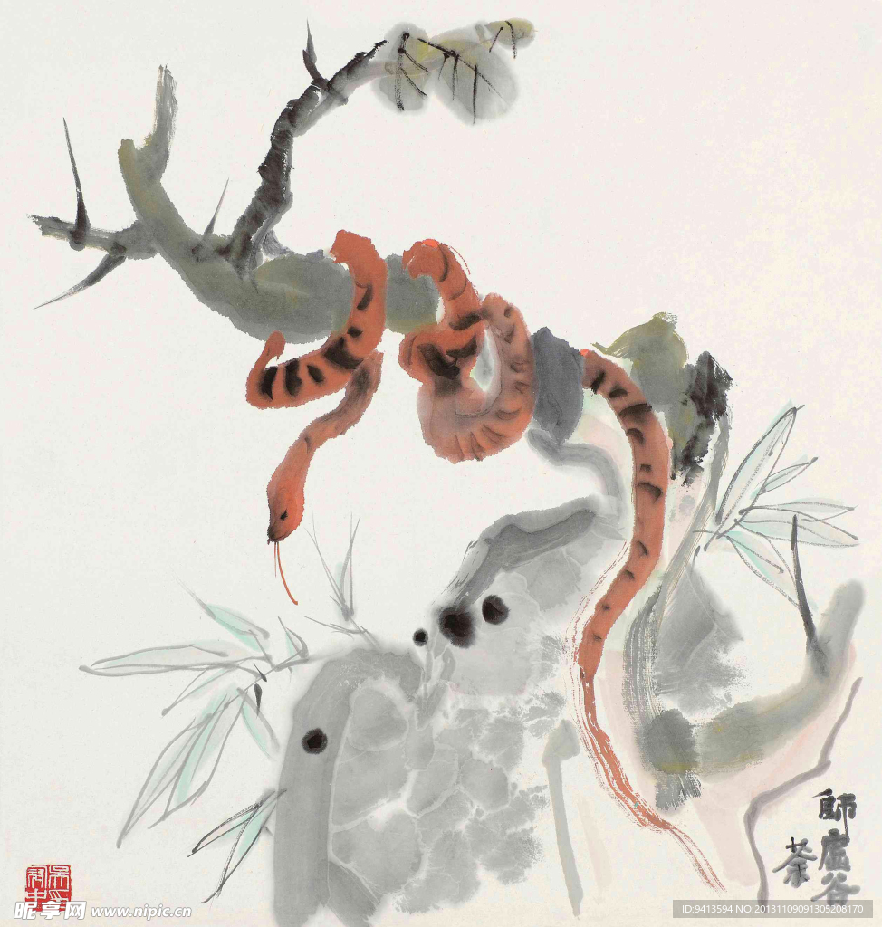 盘蛇