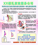 催乳家政服务公司