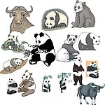 动物世界