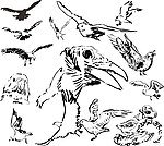 素描动物