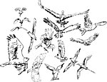 素描动物